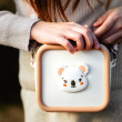 The Zoofamily Silikontasche Koala