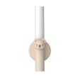 The Zoofamily Kinder-Taschenlampe Koala