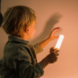 The Zoofamily Kinder-Taschenlampe Fuchs