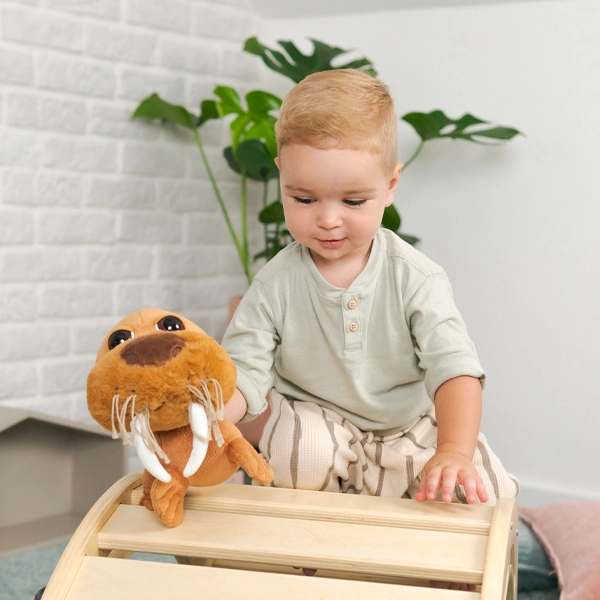 Montessori-Schaukel